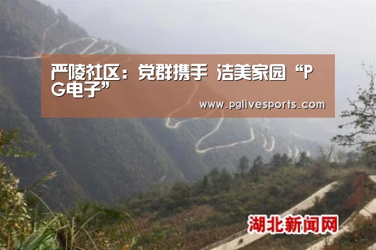 严陵社区:党群携手 洁美家园“PG电子”(图1) PG入口