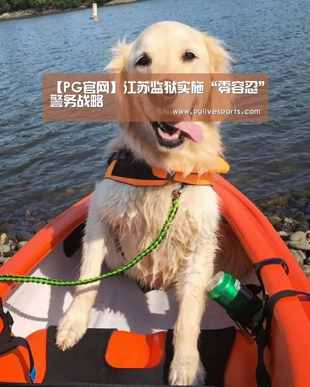 【PG官网】江苏监狱实施“零容忍”警务战略(图3) PG电子