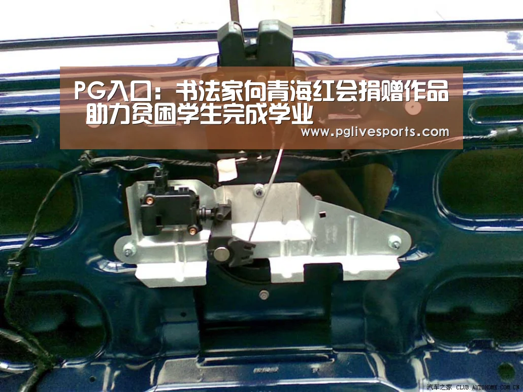 PG入口:书法家向青海红会捐赠作品 助力贫困学生完成学业(图3) PG入口