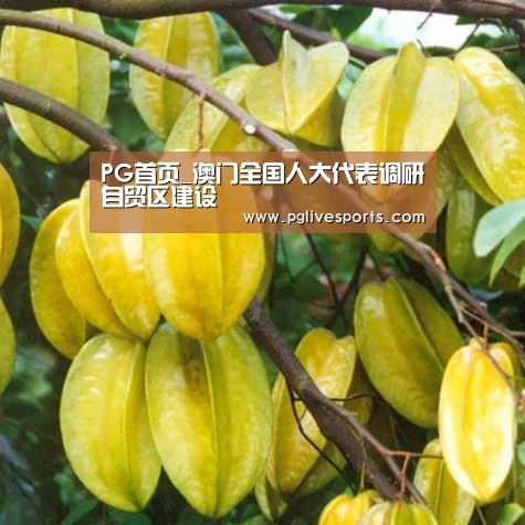 PG首页_澳门全国人大代表调研自贸区建设(图1) PG官网