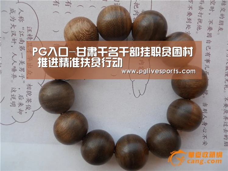 PG入口-甘肃千名干部挂职贫困村 推进精准扶贫行动(图3) PG官网