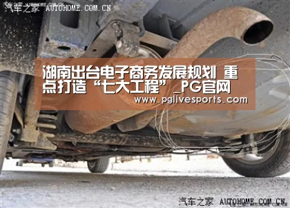 湖南出台电子商务发展规划 重点打造“七大工程”_PG官网(图1) PG首页