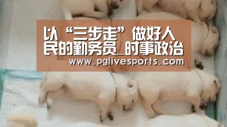 以“三步走”做好人民的勤务员_时事政治_中公教育网“PG首页”(图1) PG入口