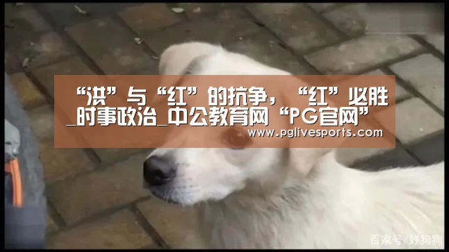“洪”与“红”的抗争,“红”必胜_时事政治_中公教育网“PG官网”(图1) PG入口
