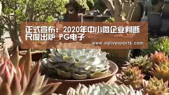 正式宣布:2020年中小微企业判断尺度出炉_PG电子(图1) PG入口