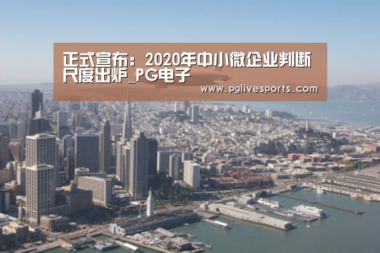 正式宣布:2020年中小微企业判断尺度出炉_PG电子(图3) PG入口