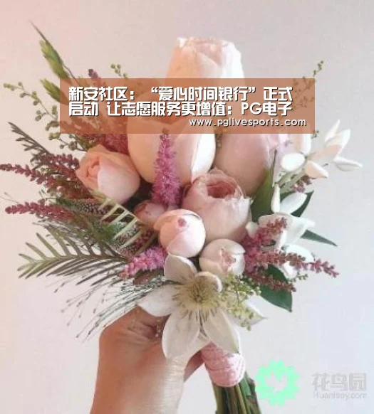 新安社区:“爱心时间银行”正式启动 让志愿服务更增值:PG电子(图3) PG入口