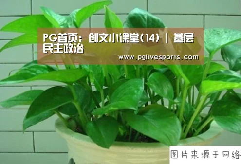 PG首页:创文小课堂(14) | 基层民主政治(图3) PG电子