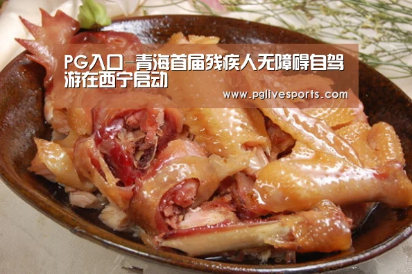 PG入口-青海首届残疾人无障碍自驾游在西宁启动(图3) PG首页