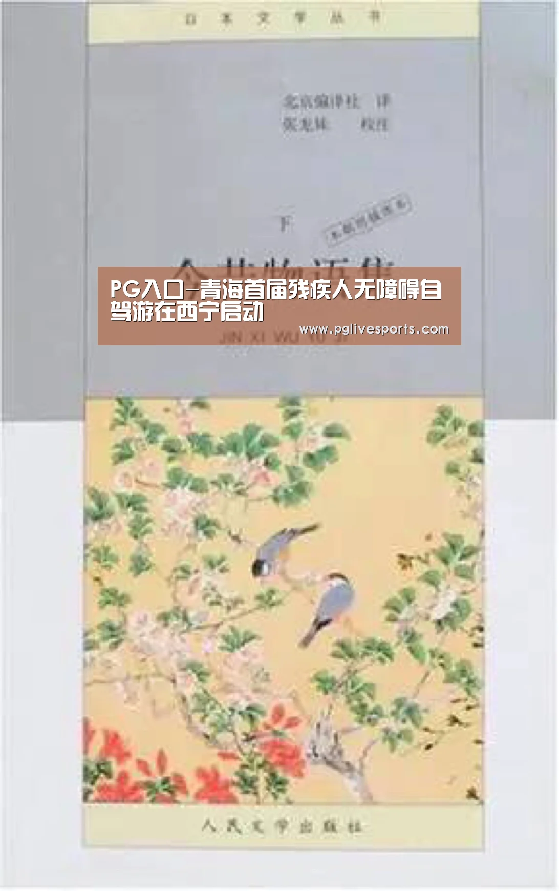 PG入口-青海首届残疾人无障碍自驾游在西宁启动(图1) PG首页
