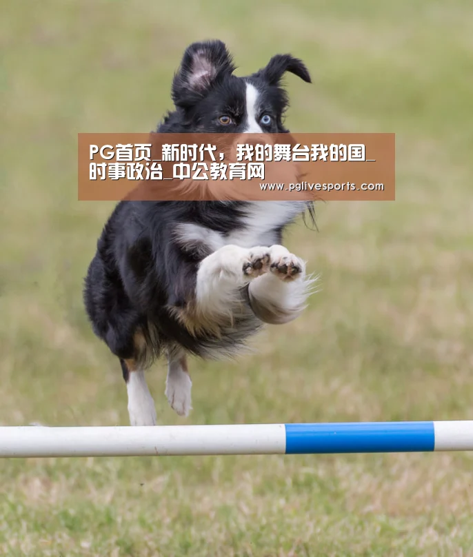 PG首页_新时代,我的舞台我的国_时事政治_中公教育网(图2) PG官网