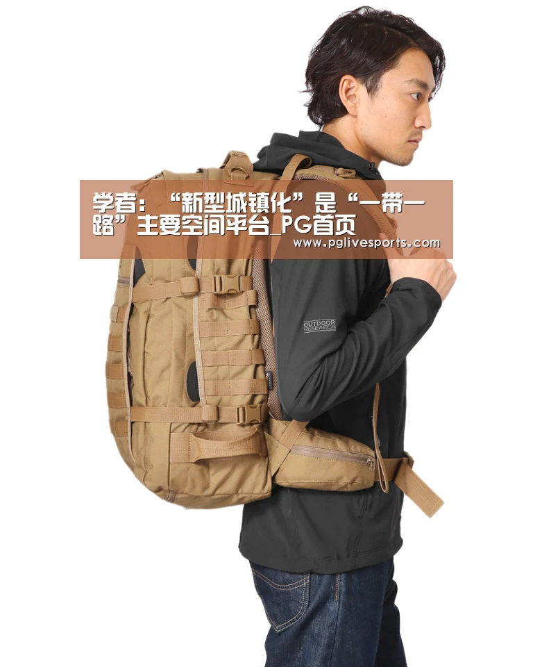 学者:“新型城镇化”是“一带一路”主要空间平台_PG首页(图1) PG首页