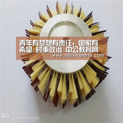 青年有梦想有责任,国家有希望_时事政治_中公教育网【PG官网】(图3) PG首页
