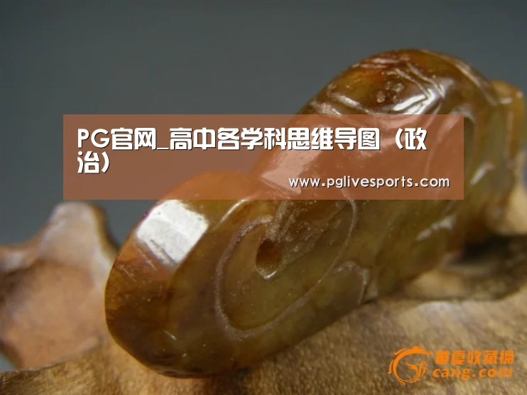 PG官网_高中各学科思维导图(政治)(图3) PG电子