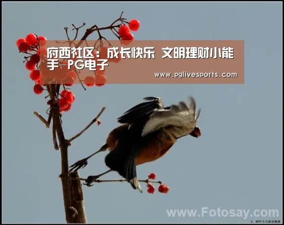 府西社区:成长快乐 文明理财小能手-PG电子(图1) PG入口
