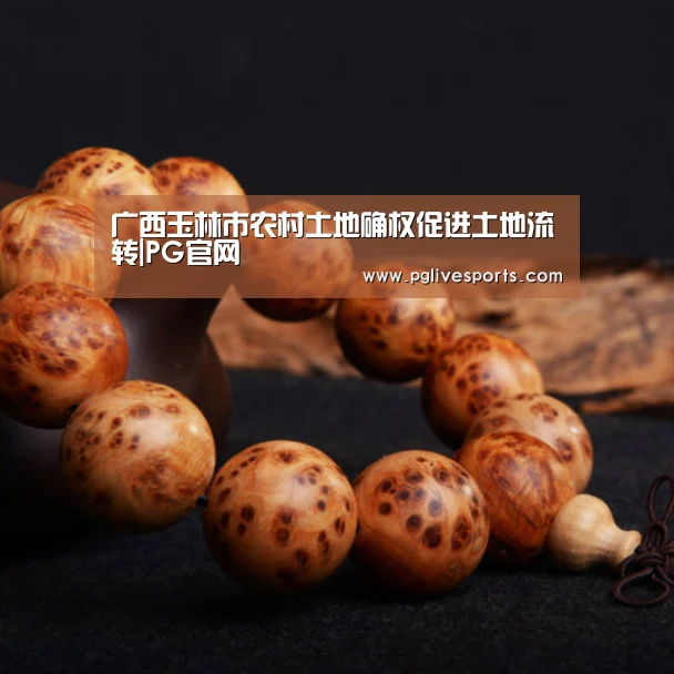 广西玉林市农村土地确权促进土地流转|PG官网(图1) PG入口